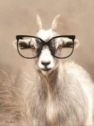 See Clearly Goat | Obraz na stenu