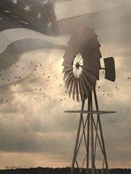 Land That I Love Windmill I | Obraz na stenu