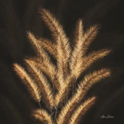 Golden Grass II | Obraz na stenu