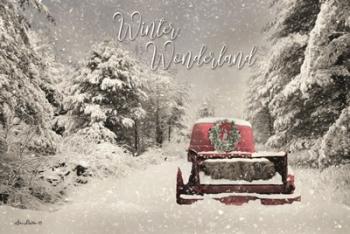 Winter Wonderland | Obraz na stenu