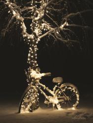 Snowy Bicycle | Obraz na stenu