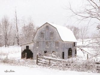 Blue Tinted Barn | Obraz na stenu