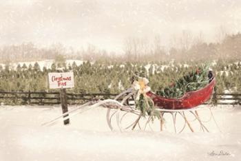 Red Sleigh at Tree Farm | Obraz na stenu