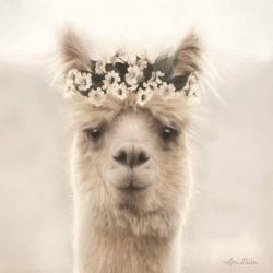 Alpaca with Flowers | Obraz na stenu