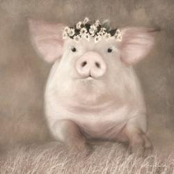 Painted Piggy | Obraz na stenu