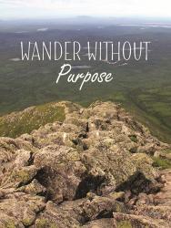 Wander Without Purpose | Obraz na stenu