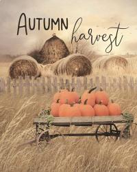 Autumn Harvest | Obraz na stenu