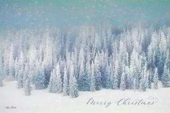 Snowy Turquoise Forest | Obraz na stenu