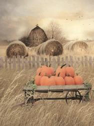 Pumpkin Harvest | Obraz na stenu