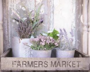 Farmer's Lavender | Obraz na stenu