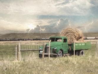 Hay for Sale | Obraz na stenu