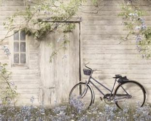 Blue Bike at Barn | Obraz na stenu