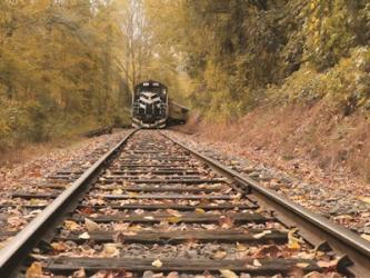 Great Smoky Mountains Railroad | Obraz na stenu