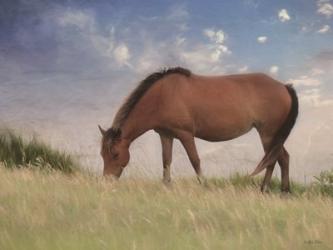 Assataegue Horse | Obraz na stenu