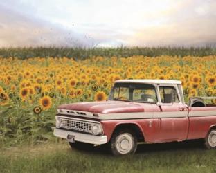 Truck with Sunflowers | Obraz na stenu