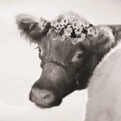 Brown Cow with Flowers | Obraz na stenu