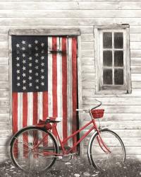 Patriotic Bicycle | Obraz na stenu