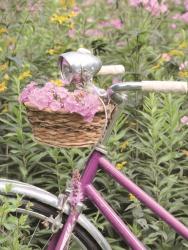Pink Garden Bike | Obraz na stenu