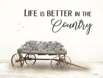 Life is Better in the Country | Obraz na stenu