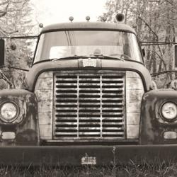 Retired Truck II | Obraz na stenu