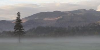 Adirondack Misty Morning | Obraz na stenu