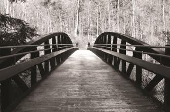 Wiconisco Creek Bridge | Obraz na stenu