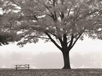 The Empty Table | Obraz na stenu