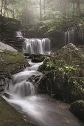 Rickett's Waterfall | Obraz na stenu