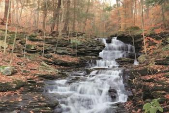 Waterfall Steps at Pigeon Run | Obraz na stenu