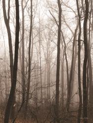 Emptiness | Obraz na stenu
