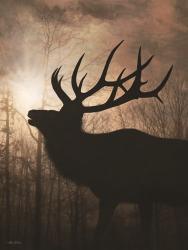 Elk Sunrise II | Obraz na stenu