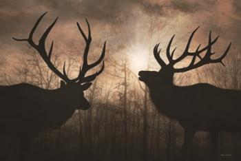 Elk Sunrise III | Obraz na stenu