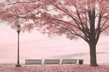 Moody Pink Day in the Park | Obraz na stenu