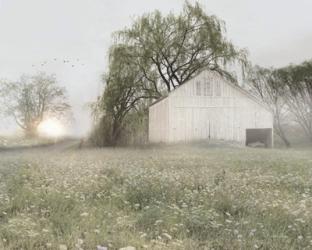 Green Country Morning | Obraz na stenu