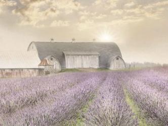 Lavender Morning | Obraz na stenu