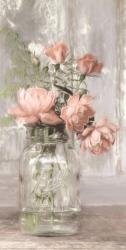 Cottage Peach Roses | Obraz na stenu