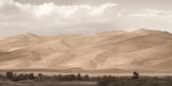 The Great Sand Dunes | Obraz na stenu