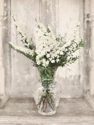Bridal Veil Flowers | Obraz na stenu