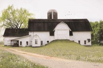 Big Country Barn | Obraz na stenu