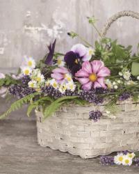 Fresh Garden Basket | Obraz na stenu