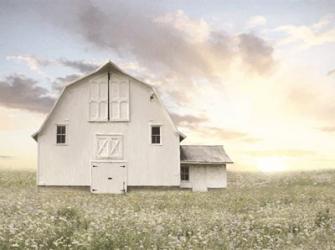 White Summer Barn | Obraz na stenu