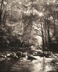 Little Pigeon River Portrait | Obraz na stenu