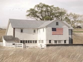 USA Patriotic Barn | Obraz na stenu
