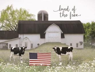 Land of the Free Cows | Obraz na stenu
