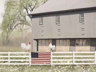 Patriotic Roosters | Obraz na stenu
