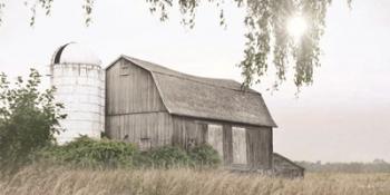 Foggy Watkins Glen Farm | Obraz na stenu