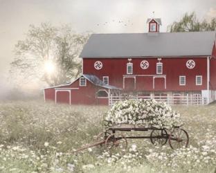 Misty Meadow Barn | Obraz na stenu