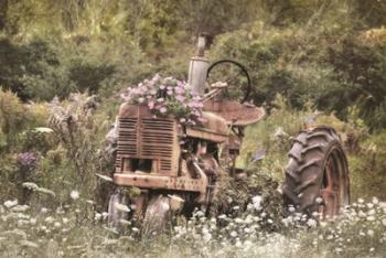 Country Garden Tractor | Obraz na stenu
