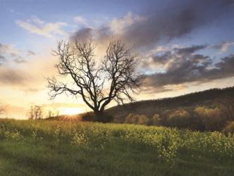 Clark Valley Sunset | Obraz na stenu