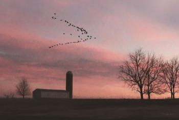 Spring Migration of Snow Geese | Obraz na stenu